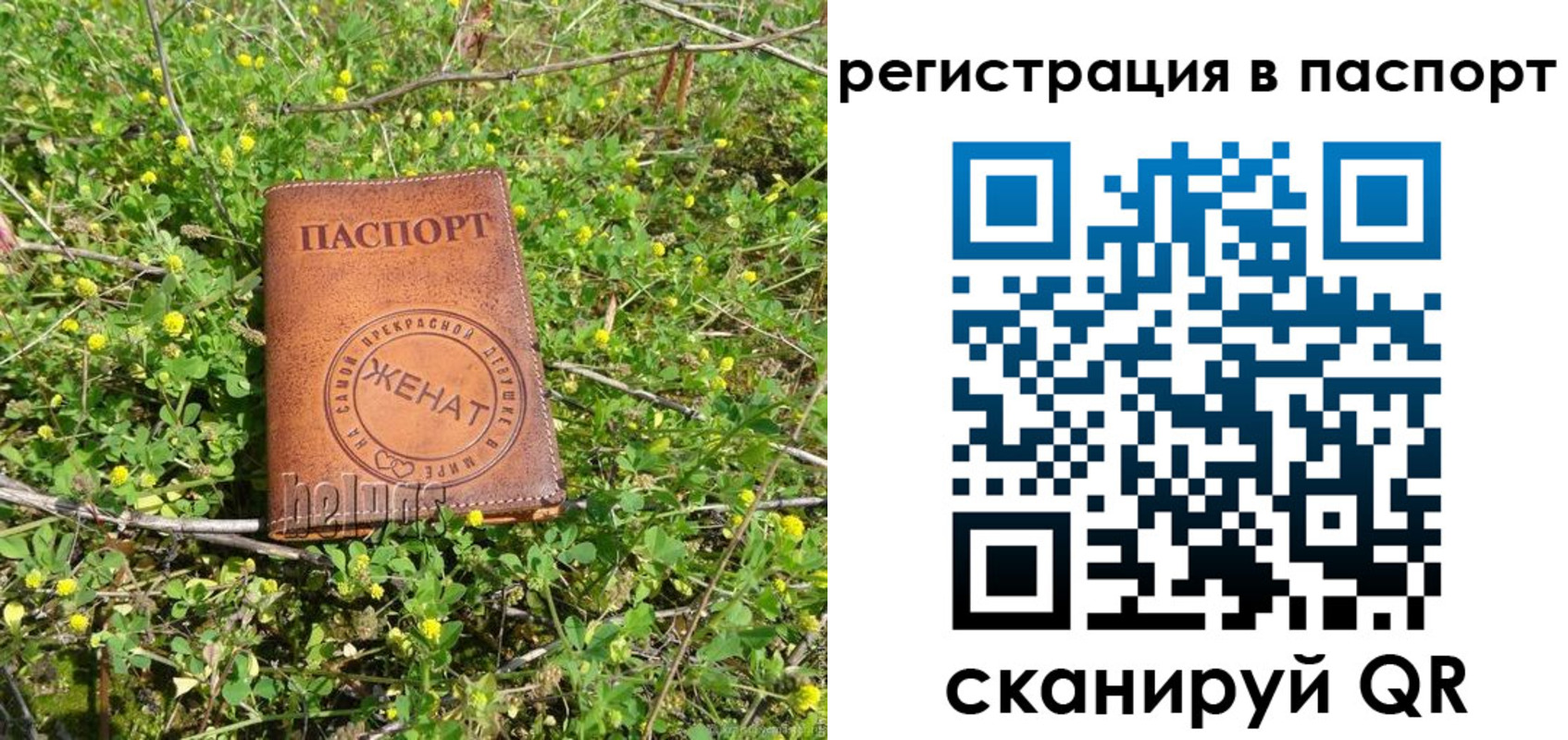 прописка законно в Ухте